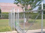 Chain Link Gate