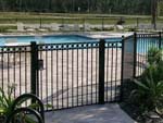Swimming Pool Fence